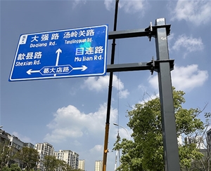 道路標(biāo)識牌 (4)